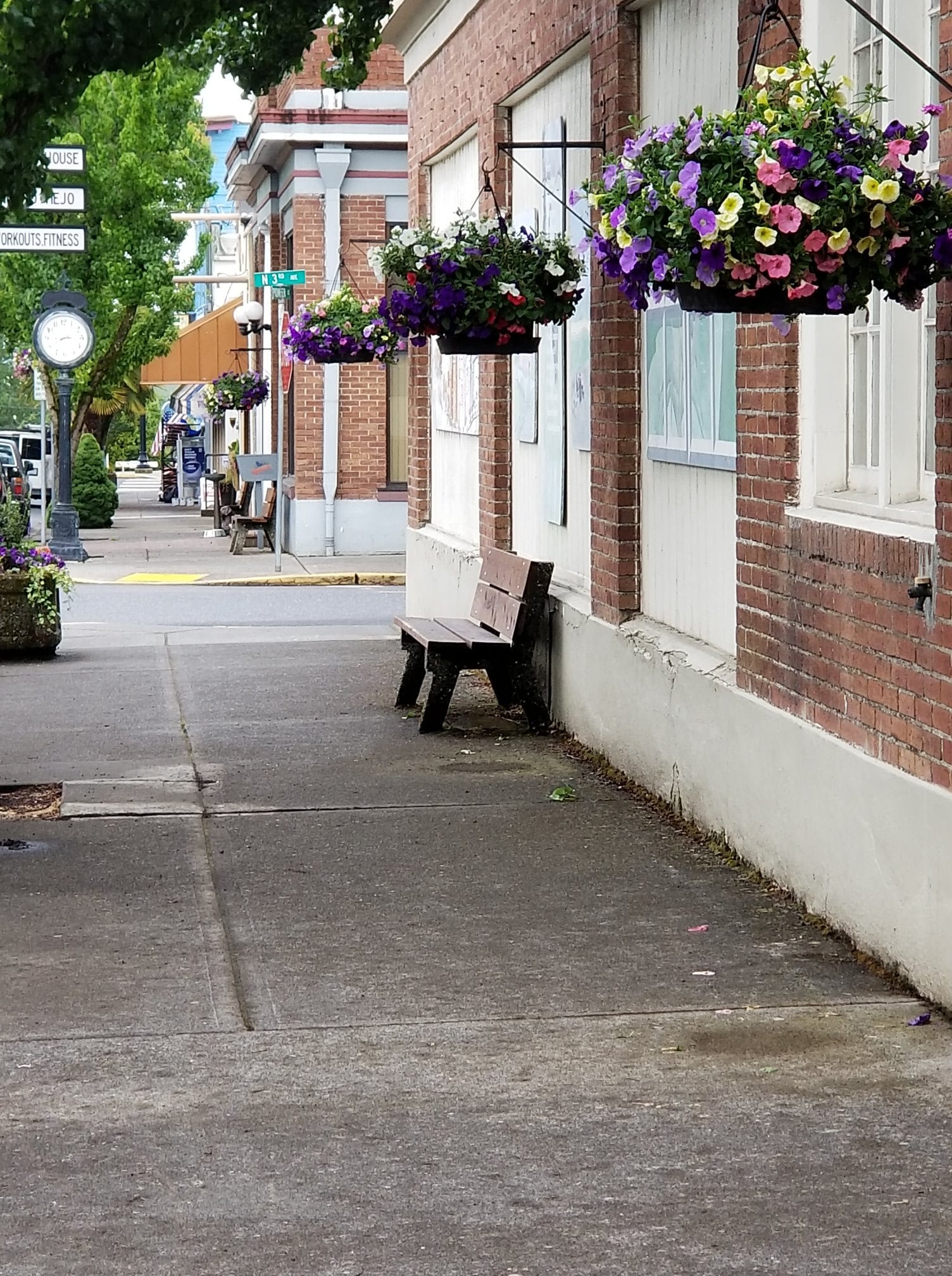 Sidewalk with flowers